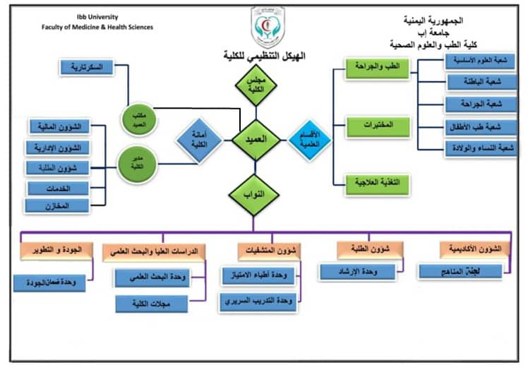 الهيكل التنظيمي